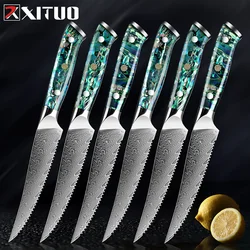 XITUO 1-6 PCS Steak Knife 67 Layer Damascus Steel Serrated Steak Knife Sharp Blade Kitchen Practical Knives Abalone Shell Handle