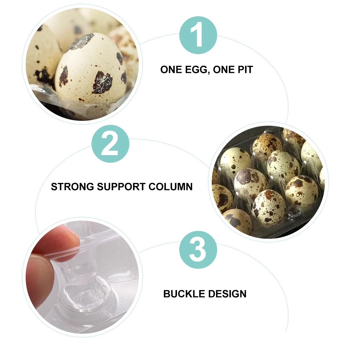 

50pcs Quail Storage Box PVC Transparent Carton 18 Grids Per Box Stabilized Anti Shake Crash Resistant Large for Eggs