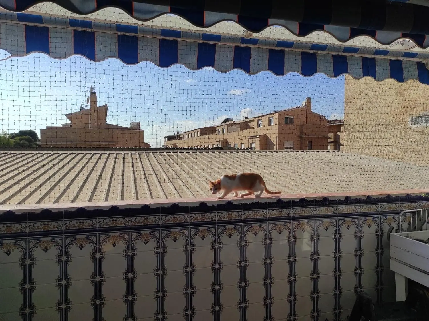 Stahldrahtverstärktes Katzennetz für Balkon, Katzen-Anti-Fall-Netz, Gartennetz, Anti-Vogel-Netz mit Draht für Fenster, Treppenrasen – Detail 6