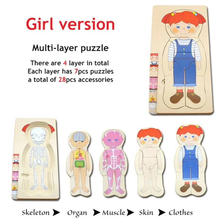 Children Wooden Human Body Puzzle Anatomy Play Skeleton Toy 5 Layers Body Structure Montessori Jigsaw Puzzles Preschool Learning