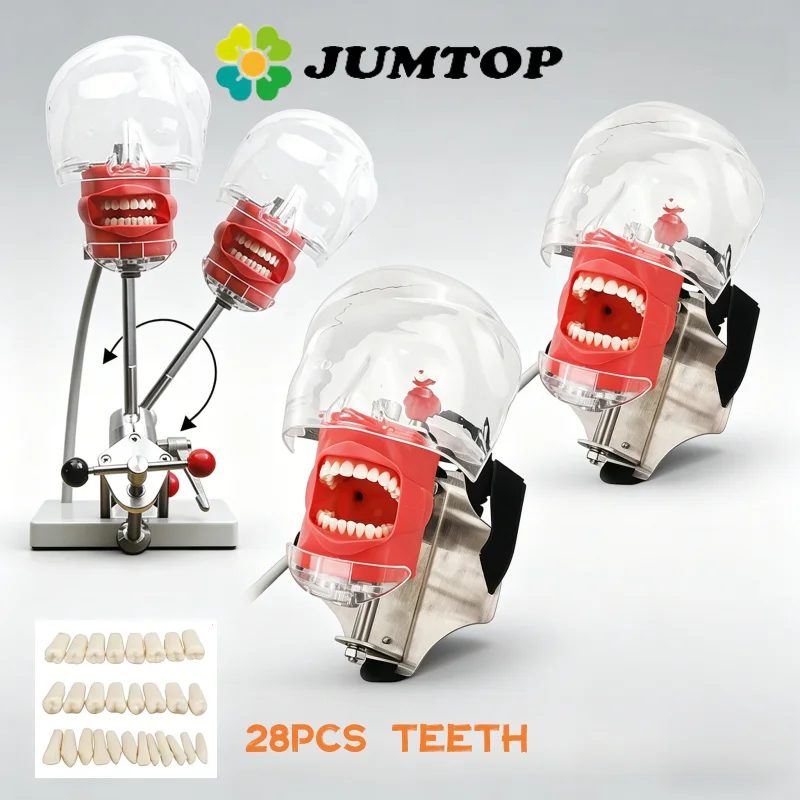 

JUMTOP Dental Phantom Head Model with Drain Pipe Manikin Head Dental Simulator for Student Practice