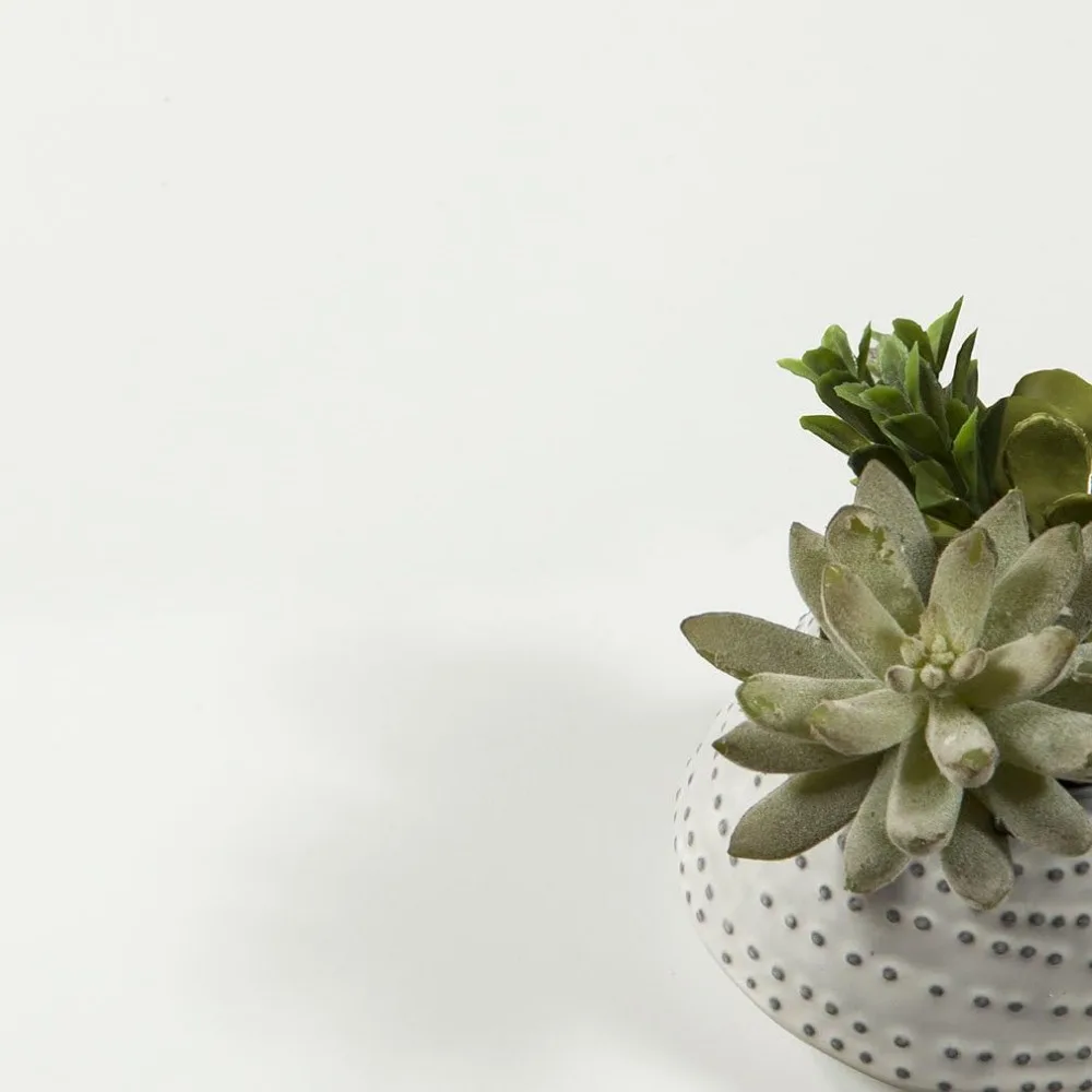 خزانة كتب ضيقة أنيقة ذات 5 أرفف باللون الأبيض - تخزين موفر للمساحة للكتب والديكور #4