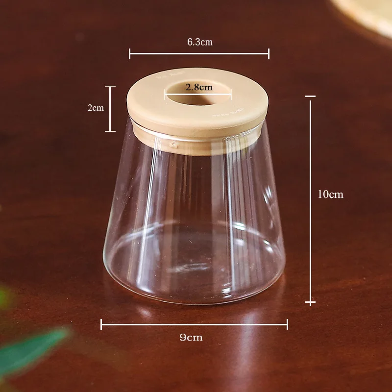 Mini Hydroponic Flower Pot Home Vase Decor Transparent Imitation Glass Plastic Plant Pots Green Plants Pot For Home Decoration