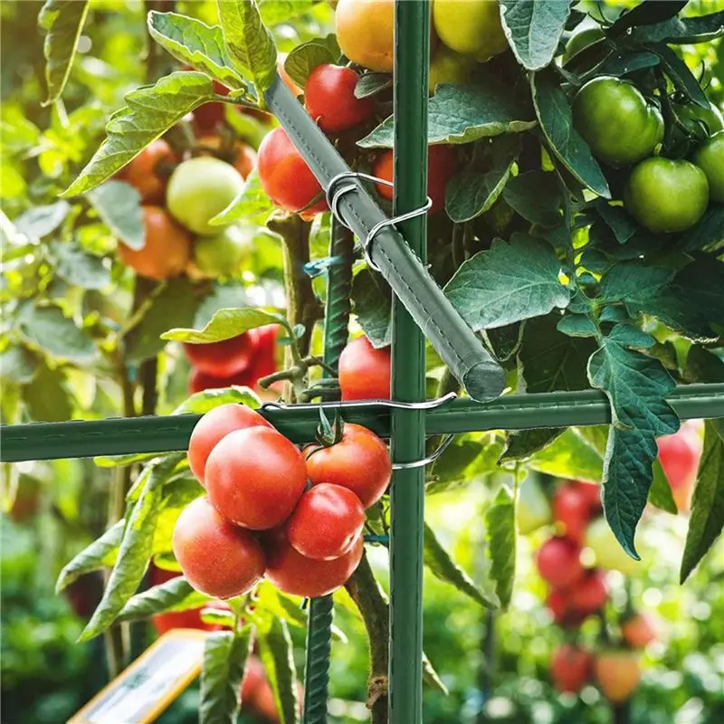 N84r 100 peças fivelas de conexão de treliça de planta, clipes de treliça de estacas de jardim para bastões, estacas de suporte de jardim escalada de plantas