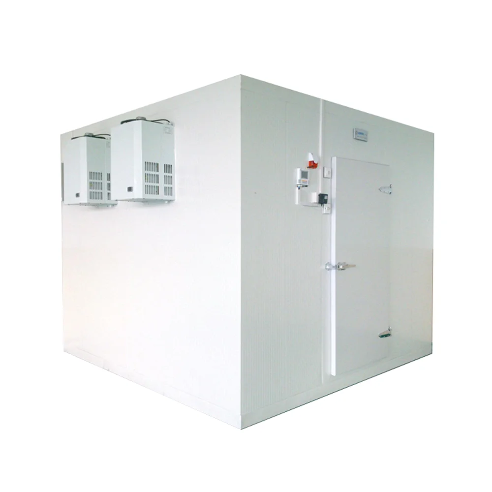 Sala frigorifera per frutta e verdura