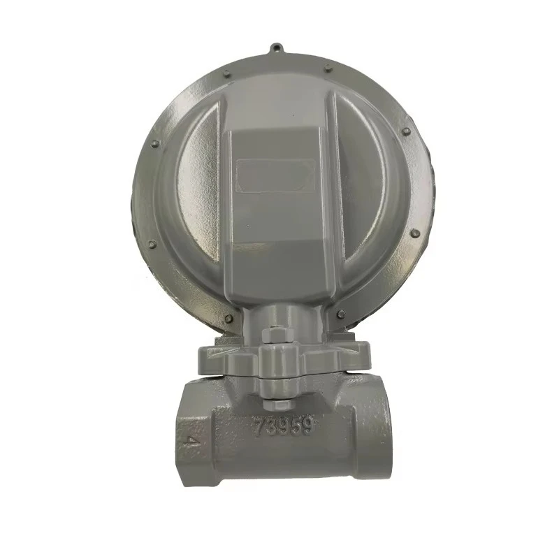 1803B2 منظم الموقد الهوائي الصناعي صمام التحكم في التدفق غاز البترول المسال صمام تخفيض الضغط المتوسط على مرحلتين