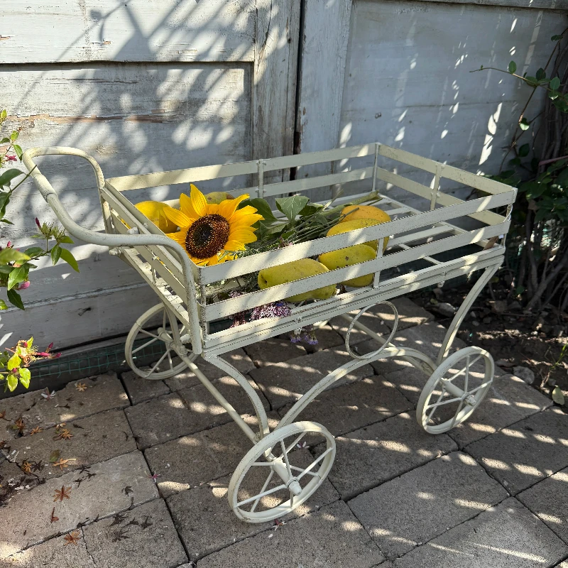 Vintage Iron Garden Cart with Wheels Rustic Plant Transport Trolley Multi-Purpose Yard Utility Wagon Plant Cultivation Carrier