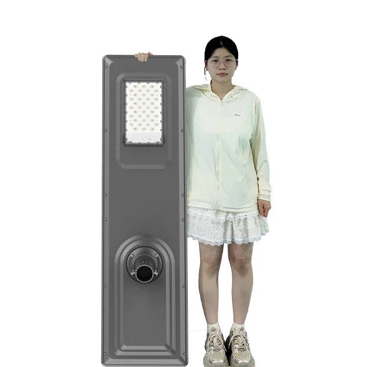 Outdoor Waterproof High Lumen Energy Saving All in One Integrated Road Smart Led Solar Street Light