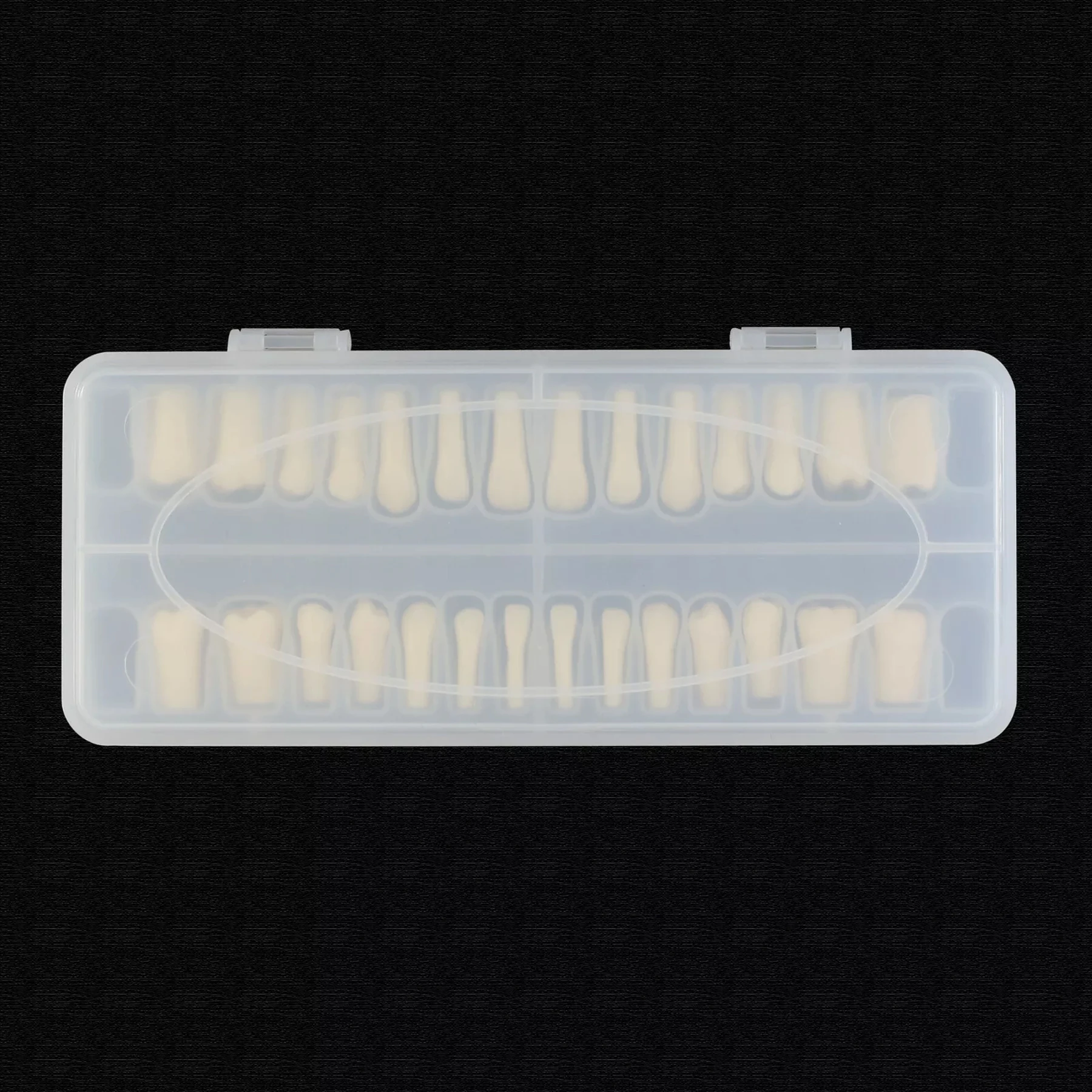 Dental Replacement Typodont Teeth Set of 28 Teeth Kilgore Nissin 200 Fit