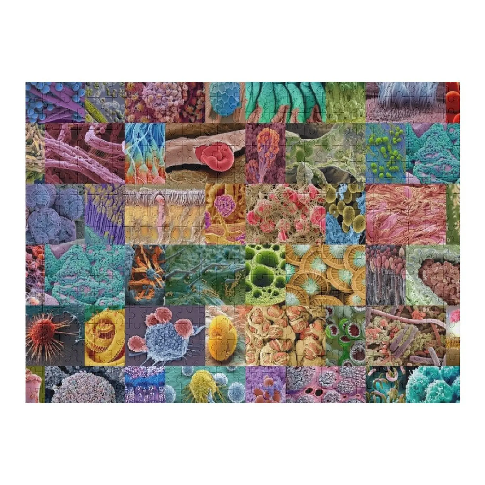 

Electron Microscope Jigsaw Puzzle Scale Motors Woodens For Adults Puzzle