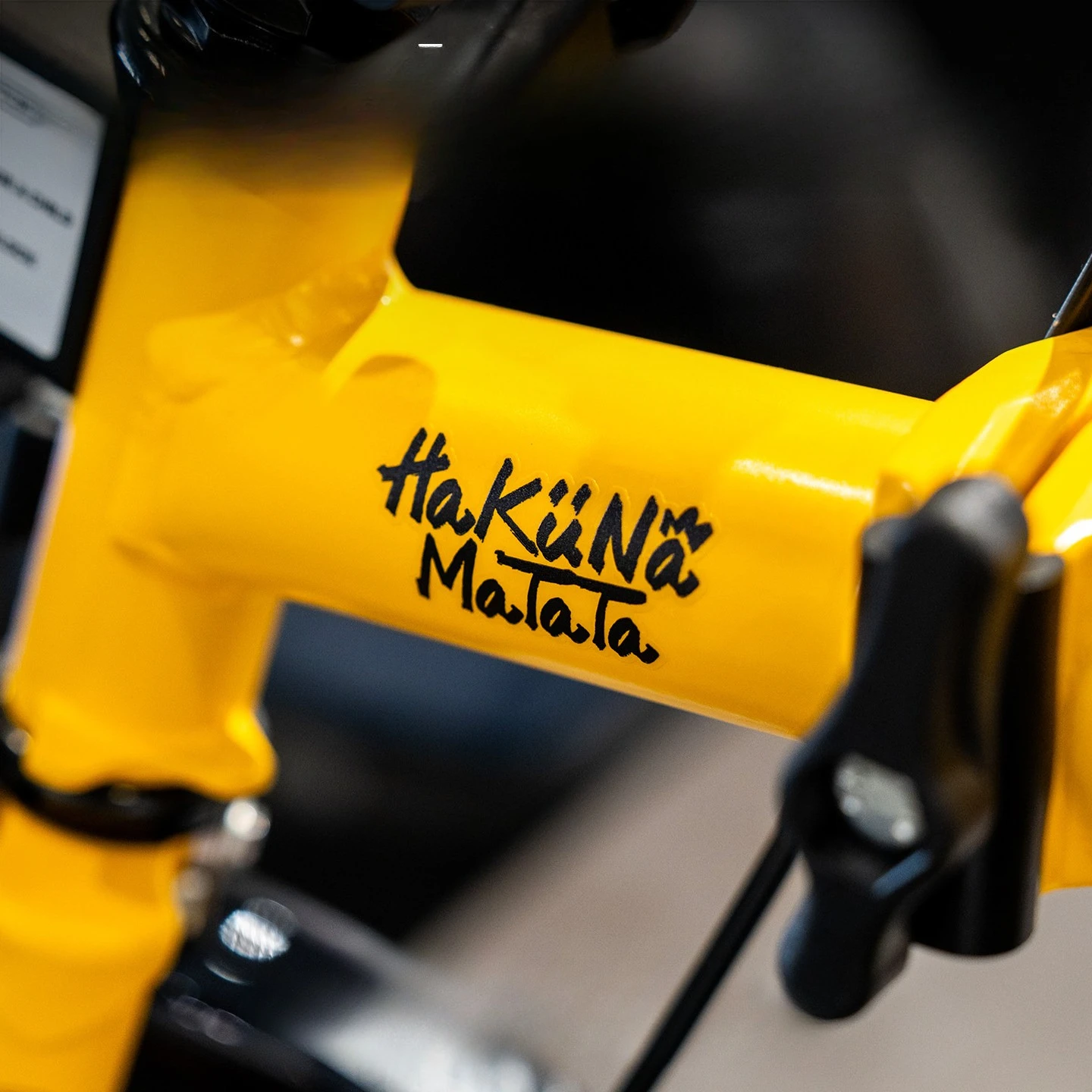 

HaKuNa Matata Bicycle Stickers for Bicycle Frame Top Tube Fun Inspirational Handwritten DIY Waterproof Road Bike Cycling Sticker