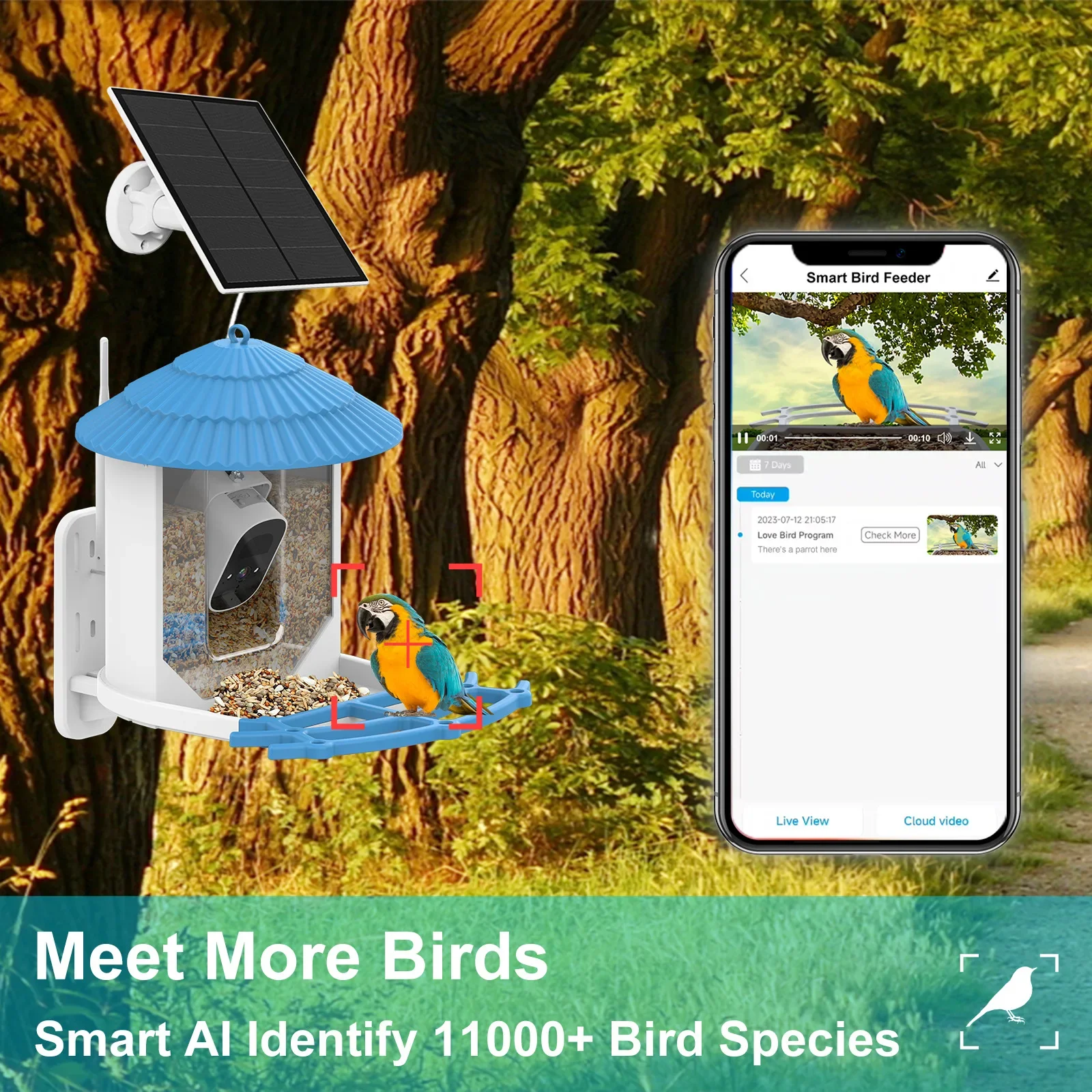 

Solar Smart Bird Feeder with Camera 2.5K HD Night Vision Camera AI Recognition Bird Species Feeder Connection Auto Capture