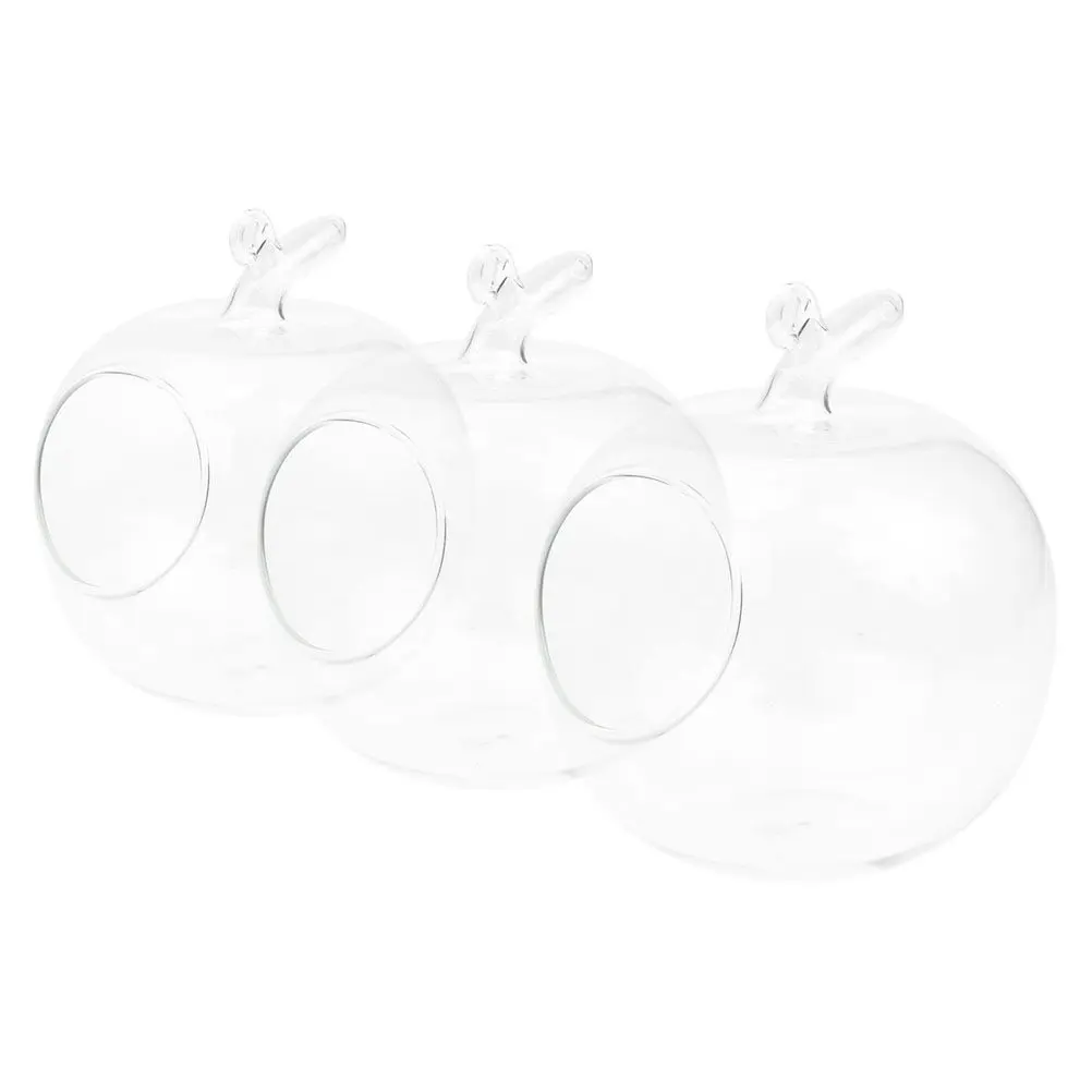 3Pcs Apple Shaped Clear Glass Hydroponic Vase Creative Transparent Planter for Desktop Micro Greenhouse Display