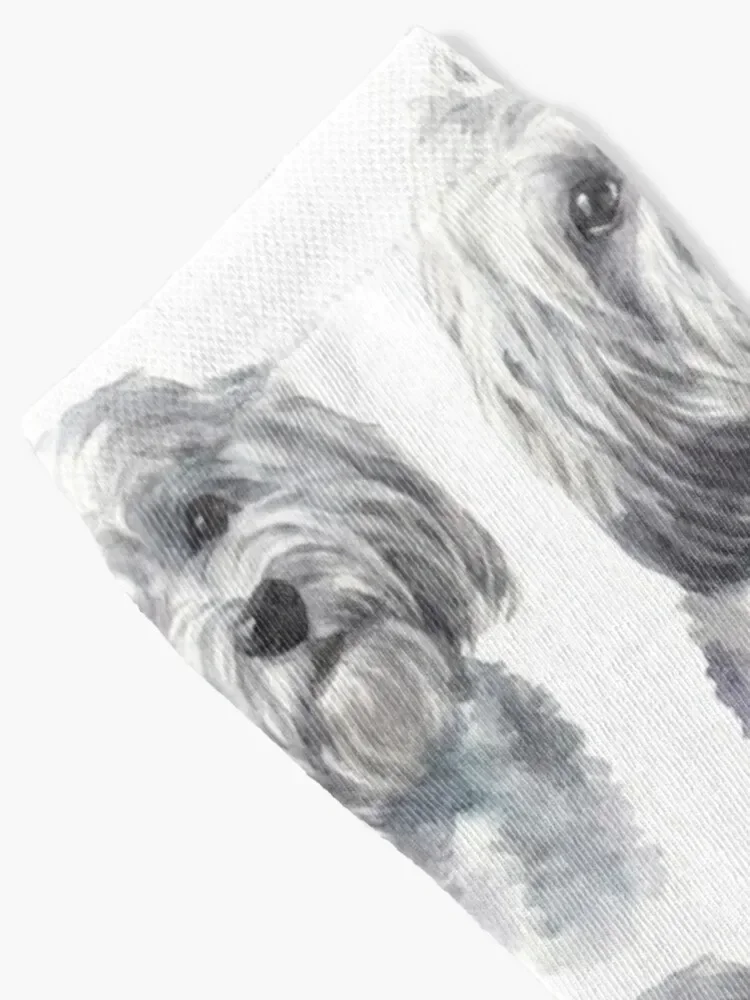 Cute White Havanese Watercolor Art Socks ankle compression Stockings compression men cotton high quality Socks For Men Women's