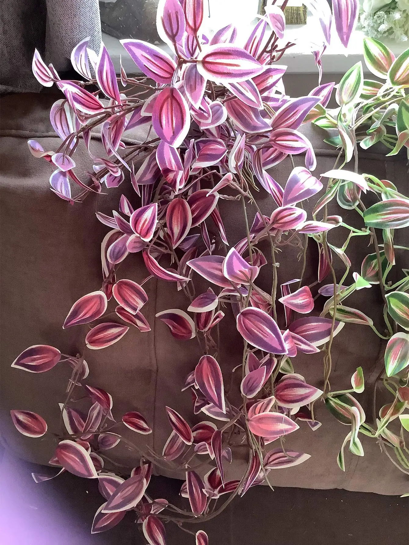 Plantas colgantes falsas de 75cm, enredaderas artificiales de eucalipto que caen, hojas de Scindapsus, plantas de pared, vid vívida de seda para decoración del jardín del hogar