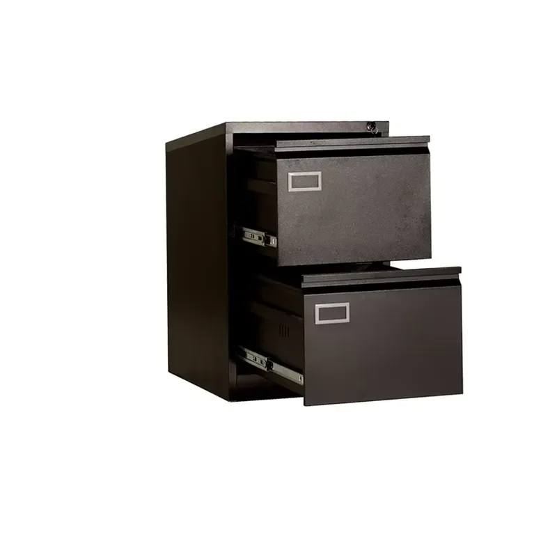 2 Drawer Steel File Cabinet Metal Office Storage Unit for Home Business Document Organization Secure Locking Filing System
