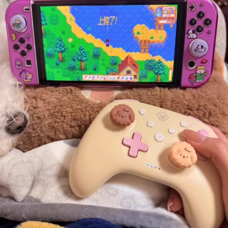 2025 Aolion Wireless Gamepad Ninten Switch Controller Pro Turbo Funktion Schalter PC/Ios/Android Black Myth Wukong Game Controller