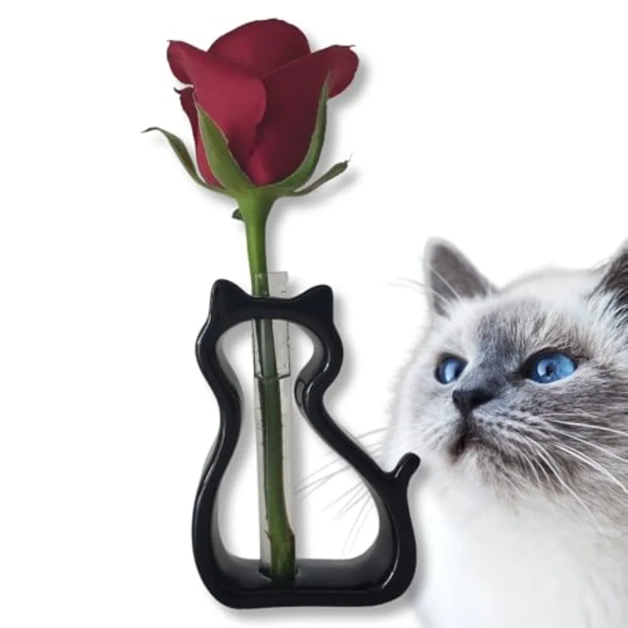 

Black Vases for Flowers, Buds and Dried Flowers in Cat Shape Cat Whisker Vase, Made in Japan Japanese Ceramic Cat Vase for Sing