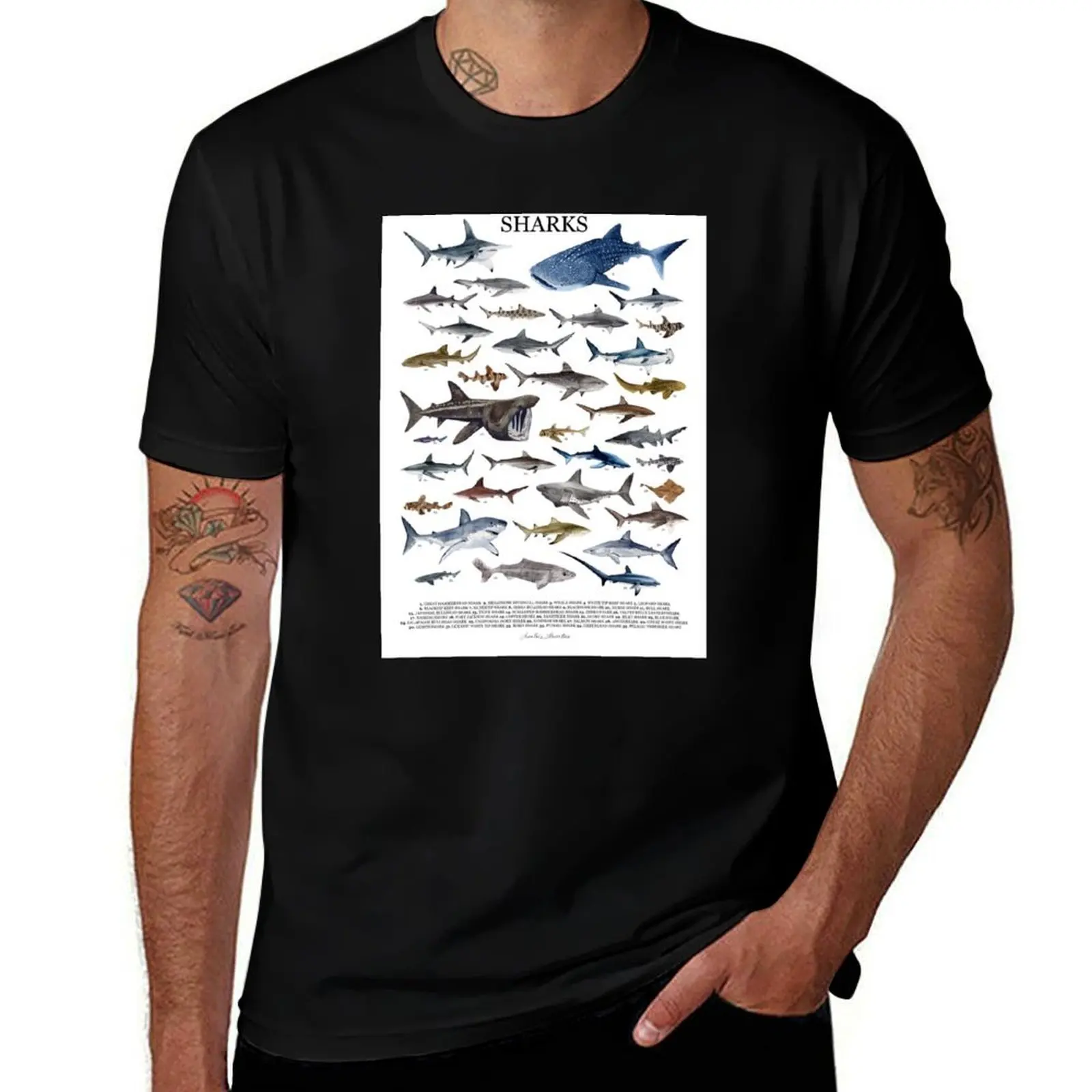 SHARKS poster with names T-Shirt Basic All Season Solid T-Shirt