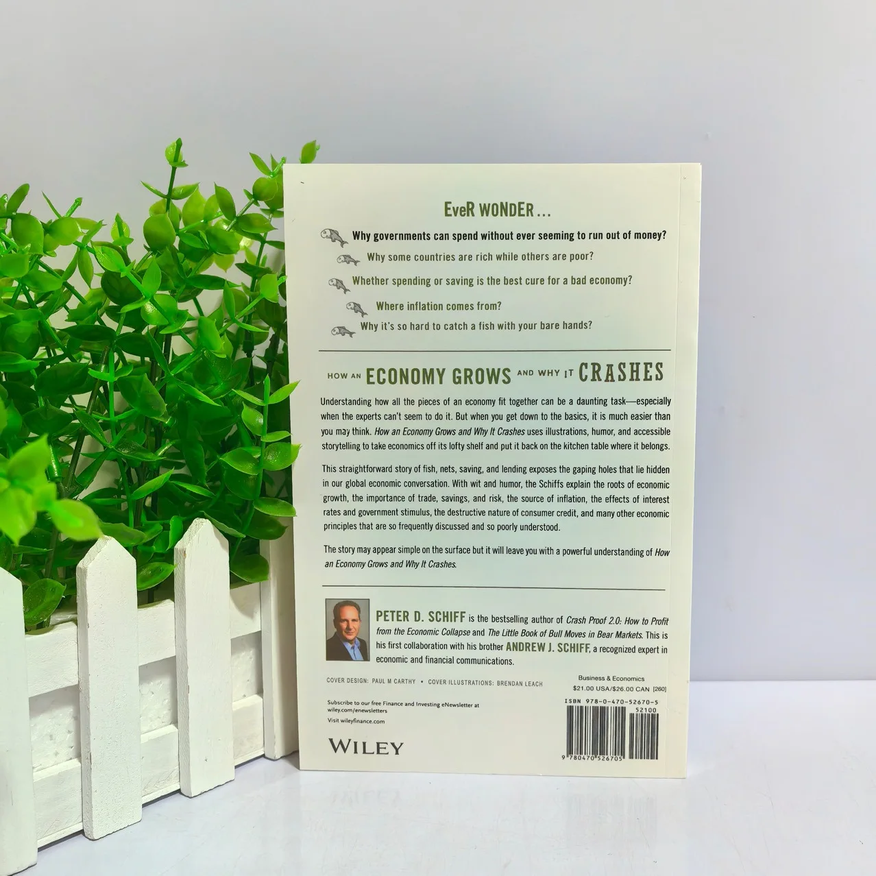 経済はどのように成長し、なぜ崩壊するのか 英語のペーパーバック本