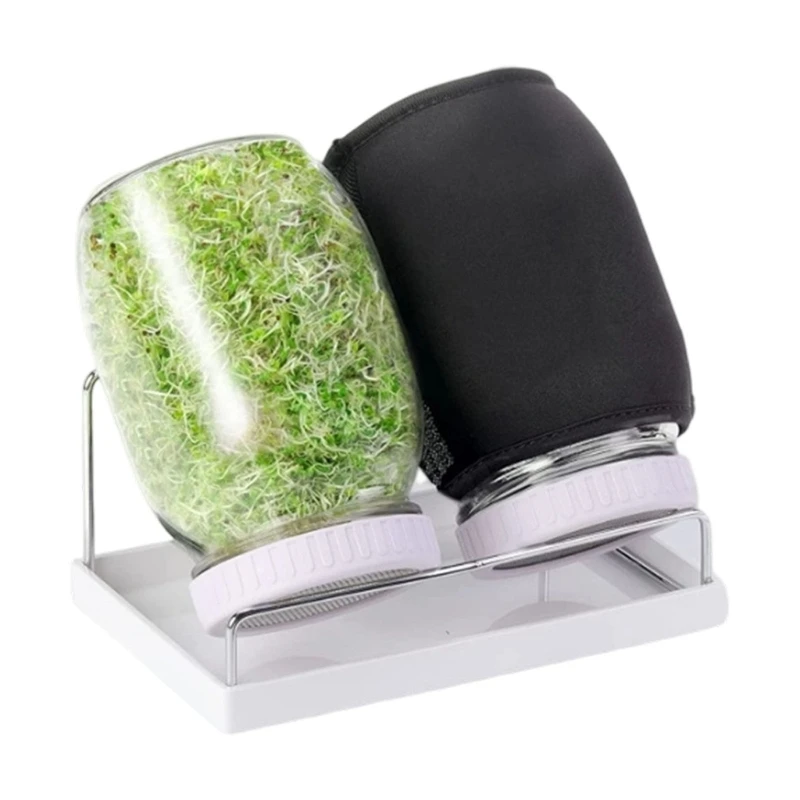 X22D Space Efficient Sprouting Grower Set for Alfalfa Radish and Mung Beans Glass Jar