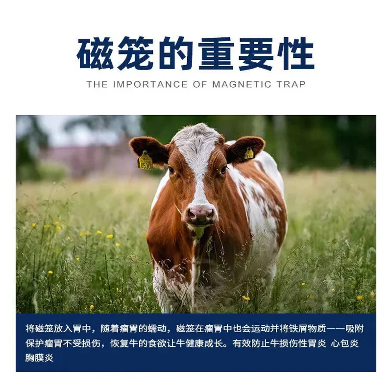 Beef Rumen Magnetic Cage, Cow Stomach Strong Magnetic Cow Stomach Iron Extractor, Strong Magnetic Iron Absorber, Animal Use