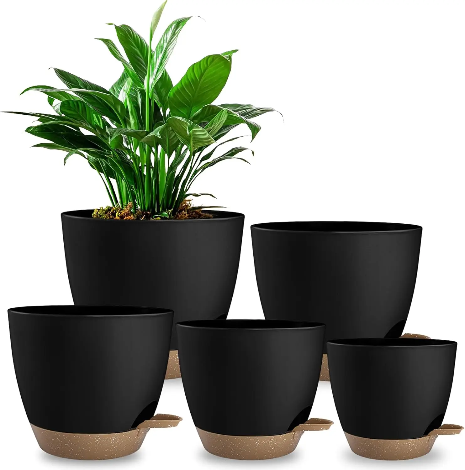 

5 Pack Self Watering Plant Pots with Drainage Saucers Plastic Nursery Containers for Indoor Outdoor Use Black Sizes 6 to 8 Inch