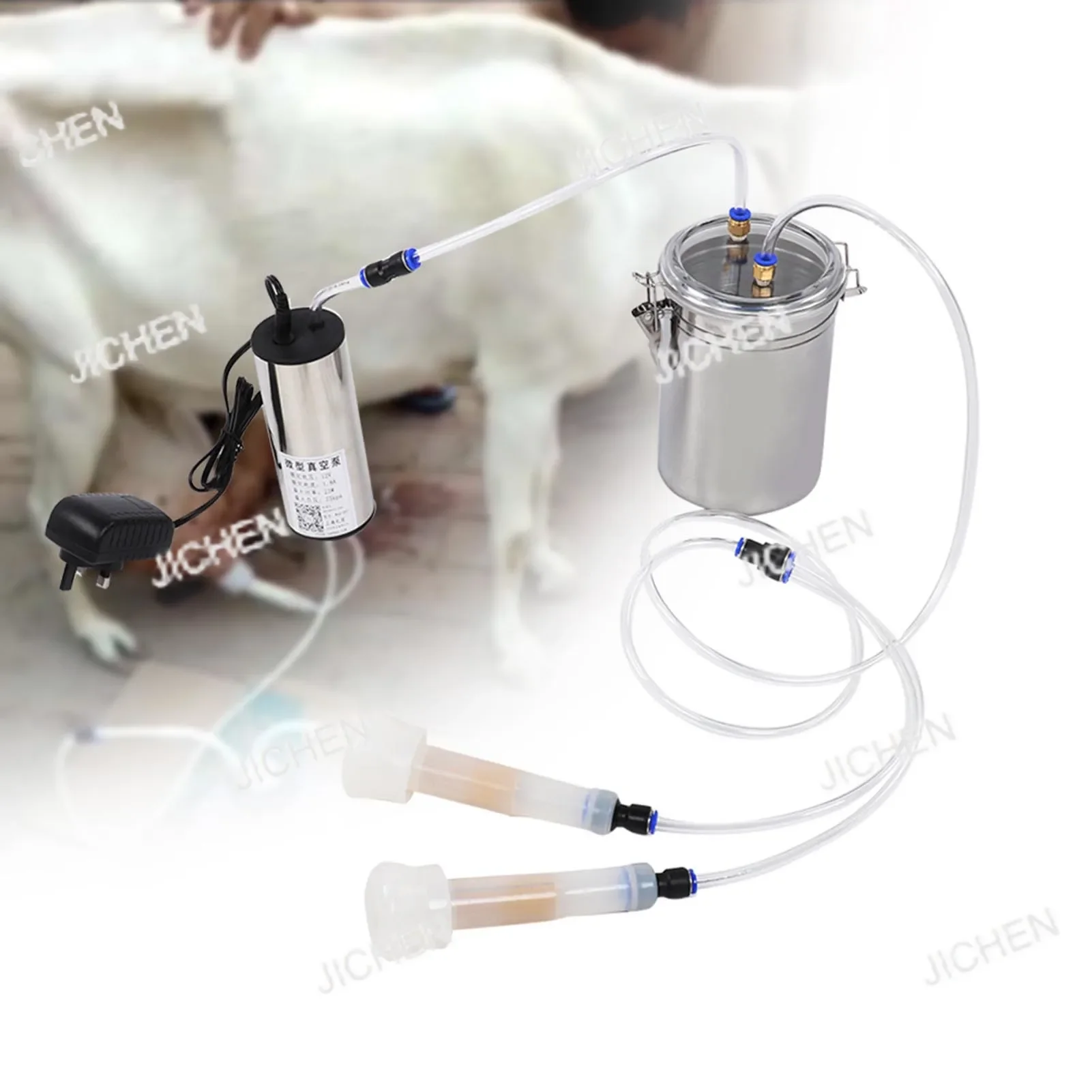 Zq 2L Goat Sheep Co…