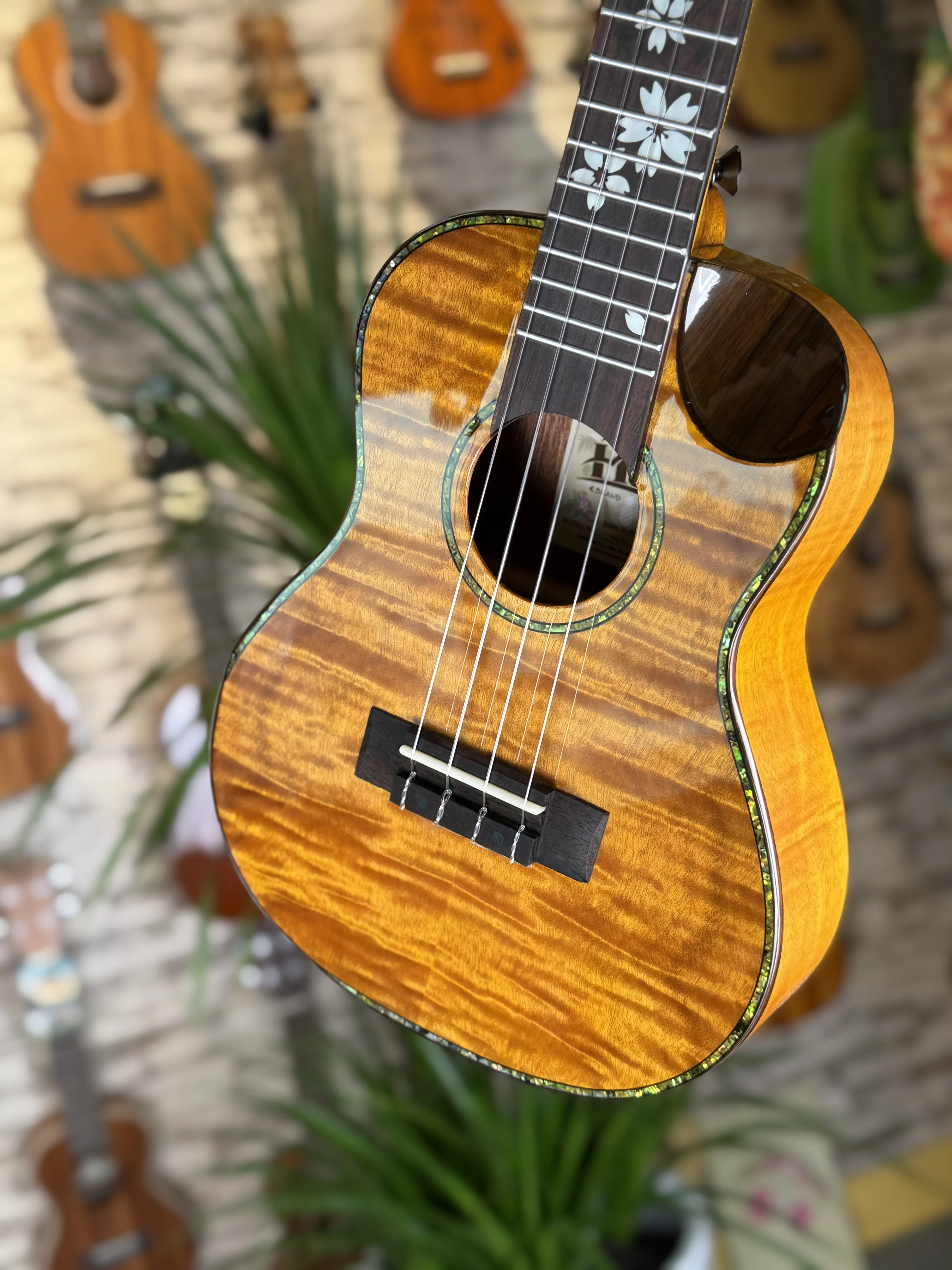 Thumbnail 3 - #3 Ukuleles Discount Picks