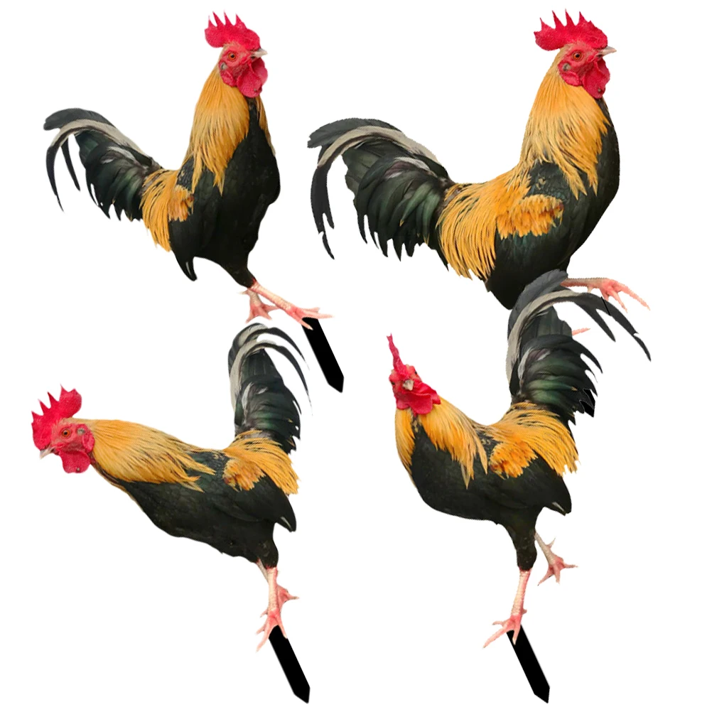 

4pcs Simulated Rooster Decoration Garden Stakes Acrylic Lawn Yard Ornament Realistic Chicken Insert for Garden Yard Flower Pot