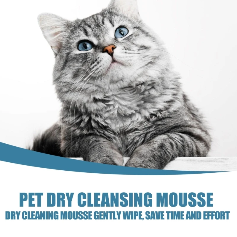 Pet Dry Cleaning Waterless Shampoo 60ml Dog/cat Dry Rinse Free Odor Removal Chamomile Coconut Oil Honeysukle Body Wash Mousse