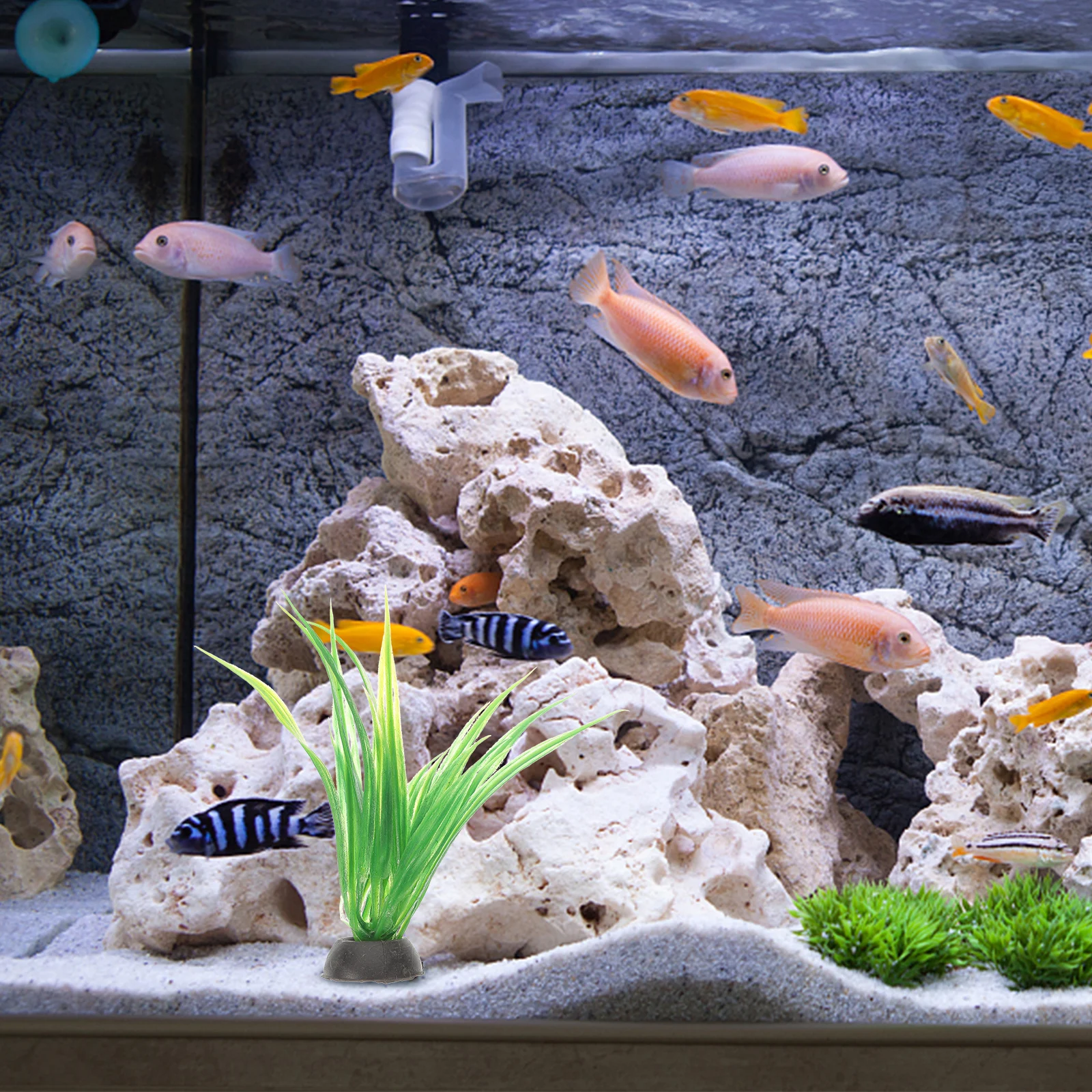 

10 Pcs Aquarium Plant Decorative Landscape Grass Vivid Natural DIY Artificial Fish Tank Decor Supplies Underwater Plastic