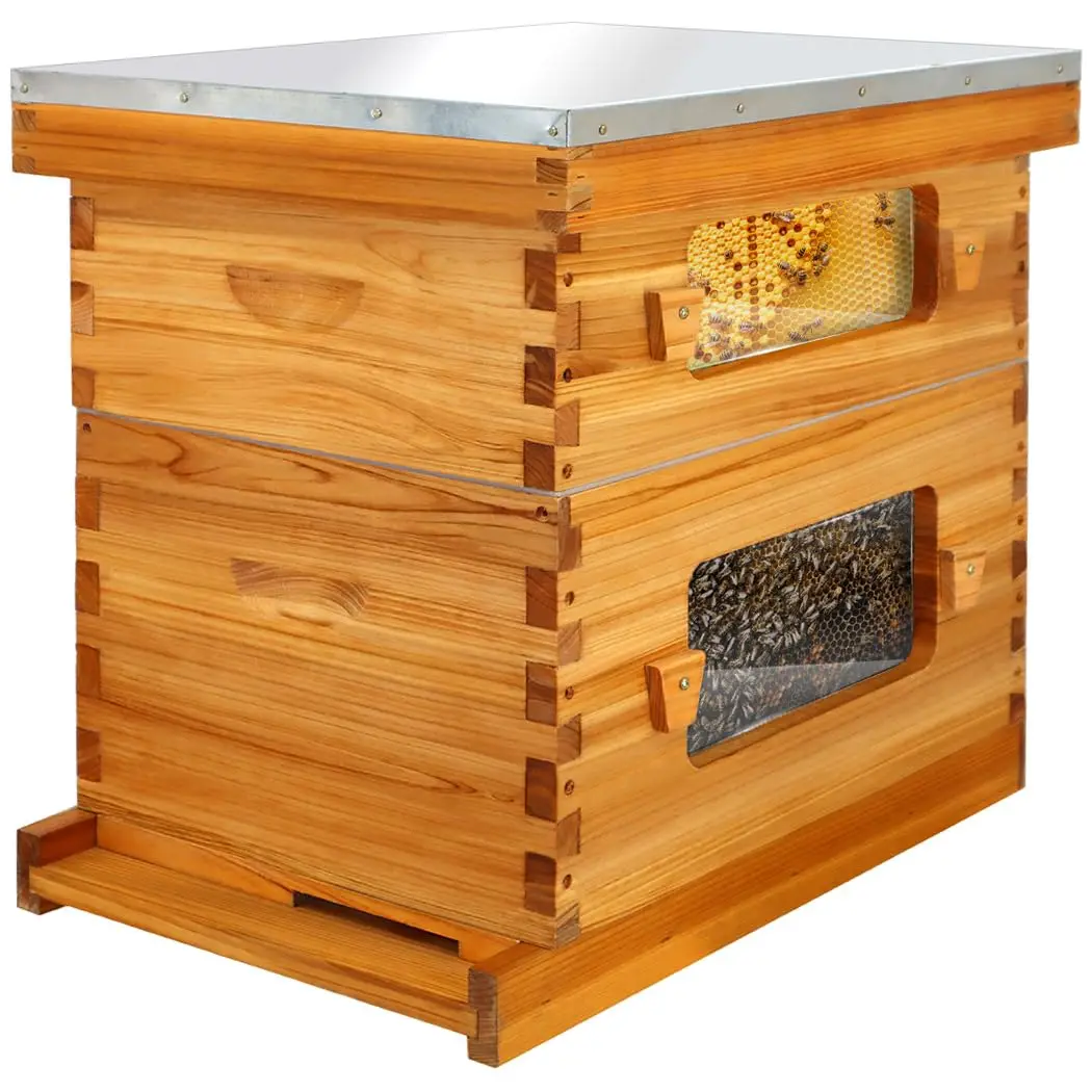 

Bee Hive with Windows, 8 Frame Langstroth Complete Beehive Starter Kit Dipped in Beeswax with Beehive Frames and, Customized