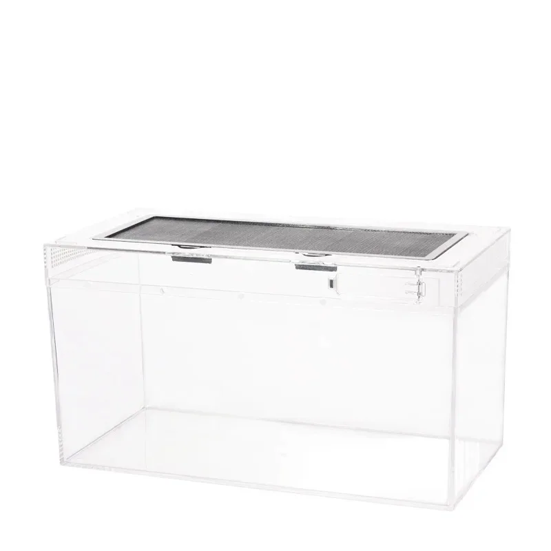 Barbarous Bg Growth… - image