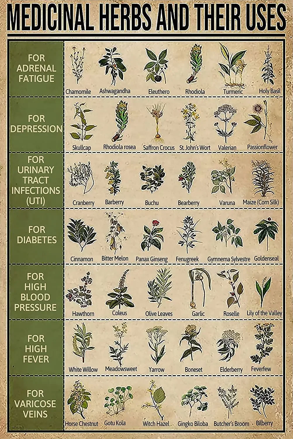 Herbal Knowledge Metal Tin Signs erbe medicinali e loro usi pittura in ferro Home Cafe bagno Garage Kitchen