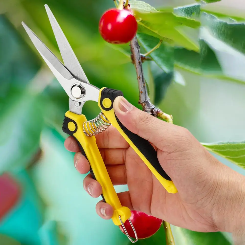 Garden Tools Secateurs Bonsai Shears Metal Gardening Scissor Pruning Tool Hand Cutter Fruit Picking Weed Household Potted 1PC