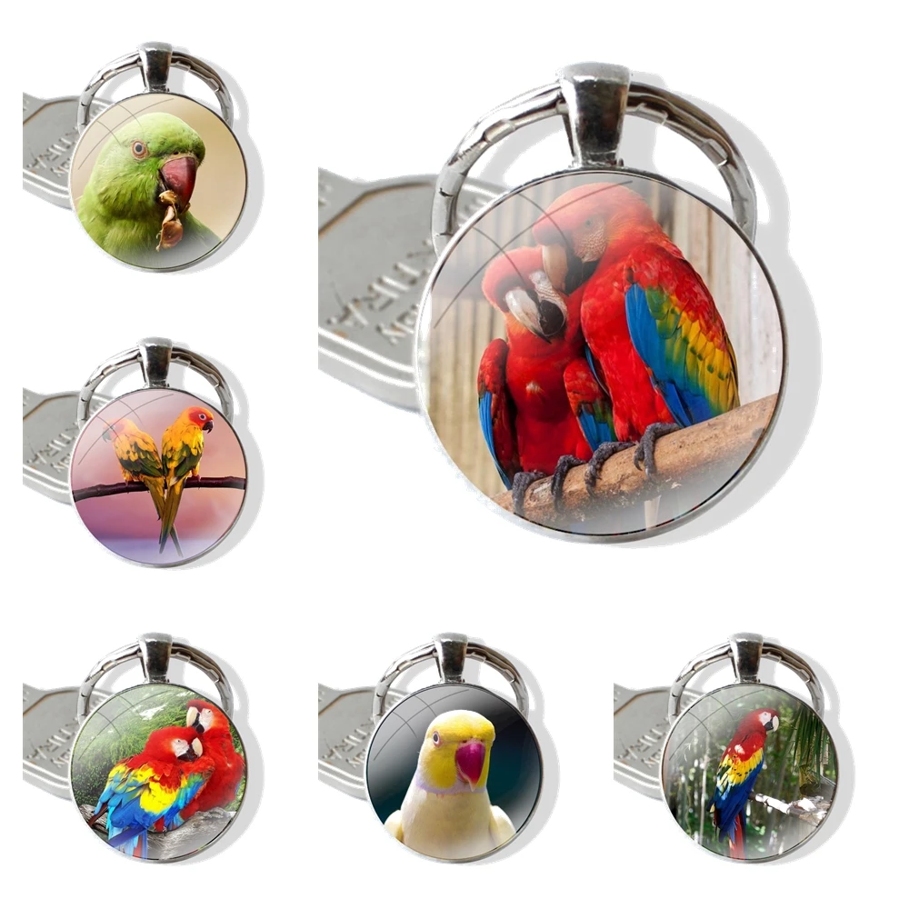 Blue Ringneck Parrot Art Keychain Glass Cabochon Metal Pendant Classic Men's Women's Keyring