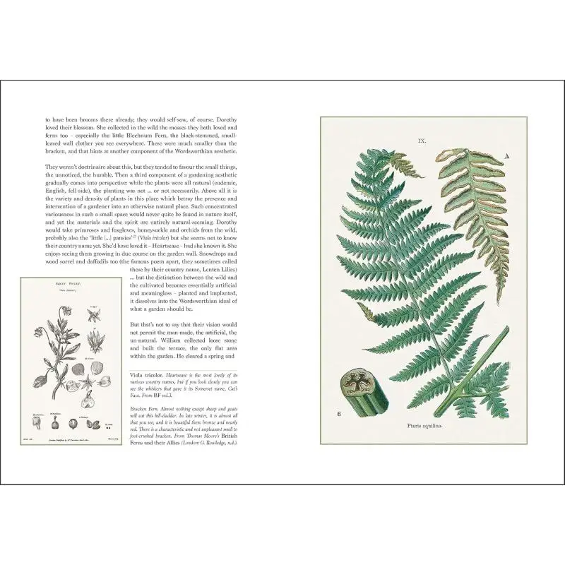 كلمات الكلمات الحدائق والزهور بيتر ديل براندون C ين Acc كتب فنية 9781851498956 كتاب #3