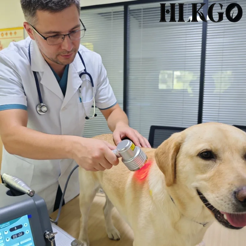 

Лазер для лечения артрита и дисплазии тазобедренных суставов у собак, ветеринарный, с двойным зондом 808 нм/650 нм, для облегчения боли и восстановления после травм у собак