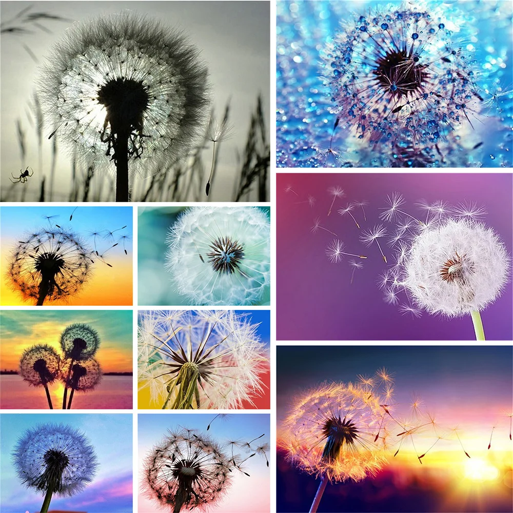 Landscape Dandelion Printed 11CT Cross Stitch DIY Embroidery Full Kit Painting Handiwork Craft Handicraft Wholesale Design Floss