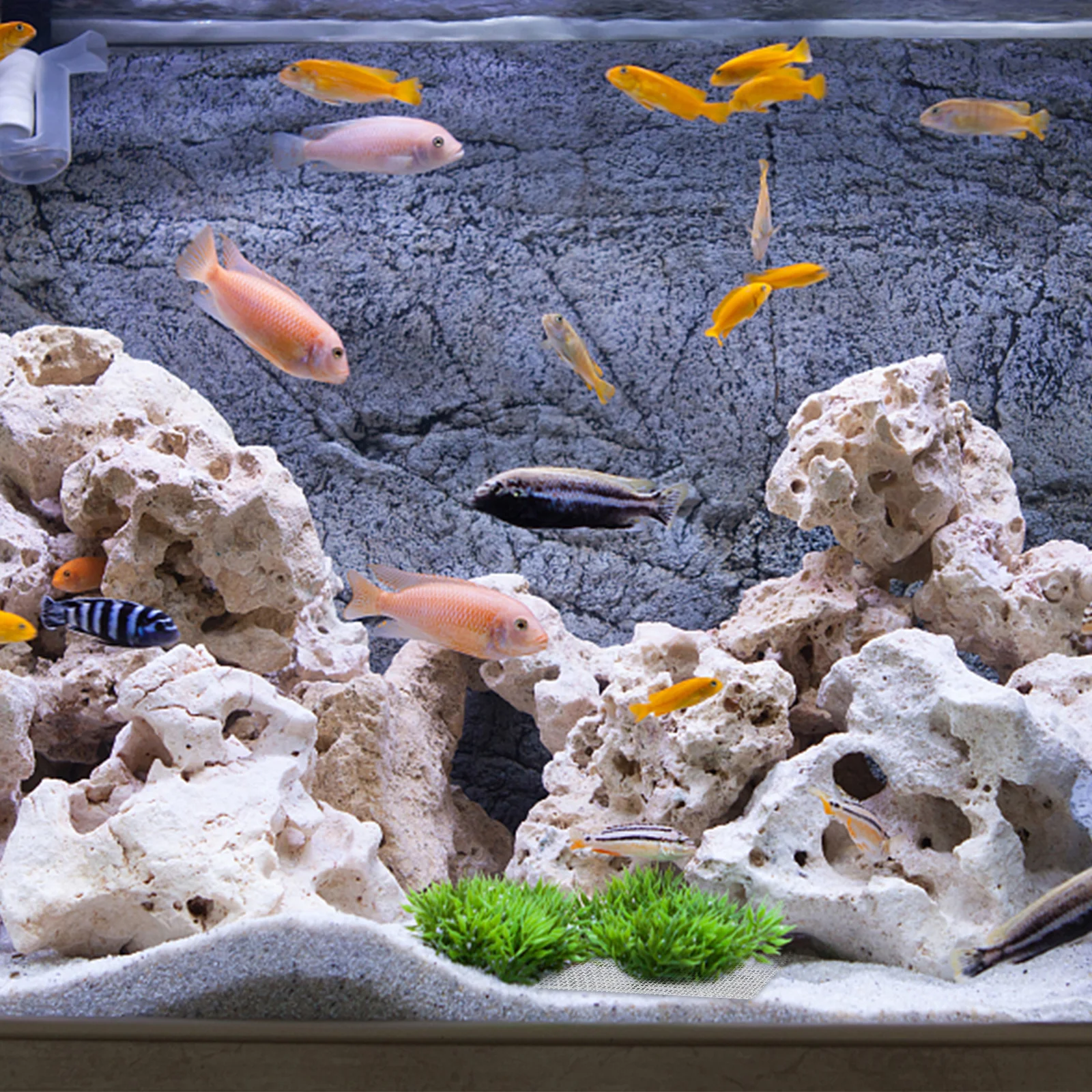 10 قطعة مياه الفولاذ المقاوم للصدأ العشب شبكة صافي غير قابل للصدأ حوض السمك نبات الطحلب تحديد خزان الأسماك ملحق ديكور تحت الماء السجاد #4