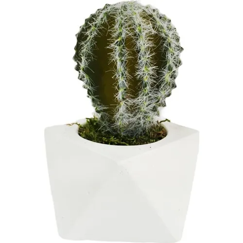 Gift Showcase Ceramic Flower Pot Also Artificial Flower S 1. Quality Cactus and Powder S Spike Lavender 14 cm