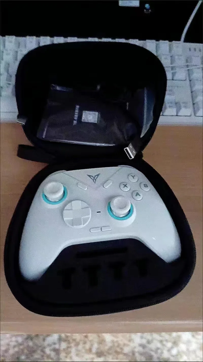 حقيبة واقية من قشرة Flydigi-Hard ، حقيبة تخزين ، حقيبة حمل لـ Flydigi Gamepad ، Vader 4 Pro ، 3 Pro ، Direwolf ، APEX 4 ، 3 ، أصلي