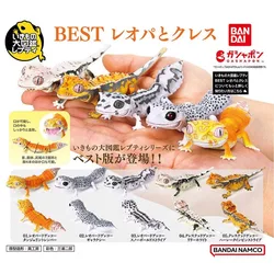 BANDAI Japan Original Kawaii Gashapon Figure Cute Biology Map BEST Joint Movable House Lizard Capsule Toys Anime Figurine Gift