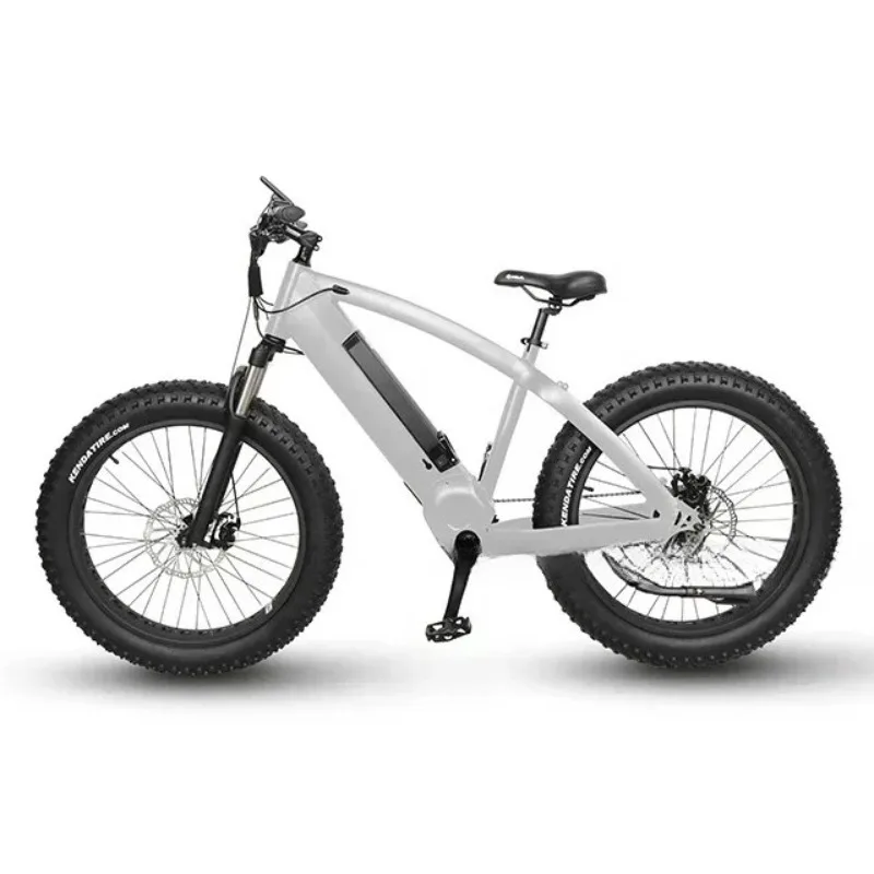 

2023 cheap price 26" 4.0inch 750W motor Mountain Electric Bike motorcycle electric best quality guarantee bicycle ebike