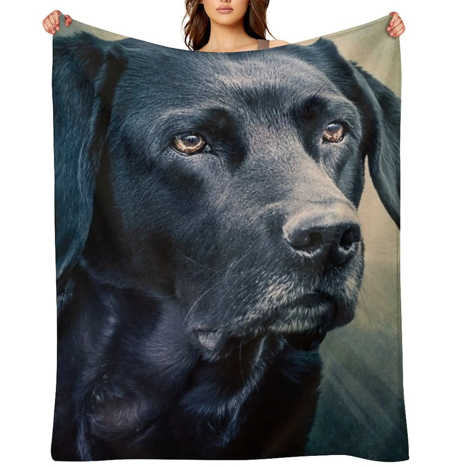 

Black Velvet - Labrador Throw Blanket Camping Single christmas decoration christmas gifts Blankets