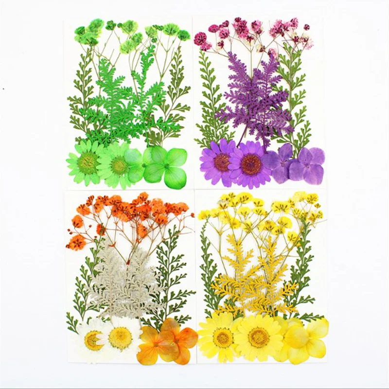 زهور مجففة مضغوطة مختلطة ، فن ذاتي الصنع ، مشغولات نباتية ، هدية فنية #3