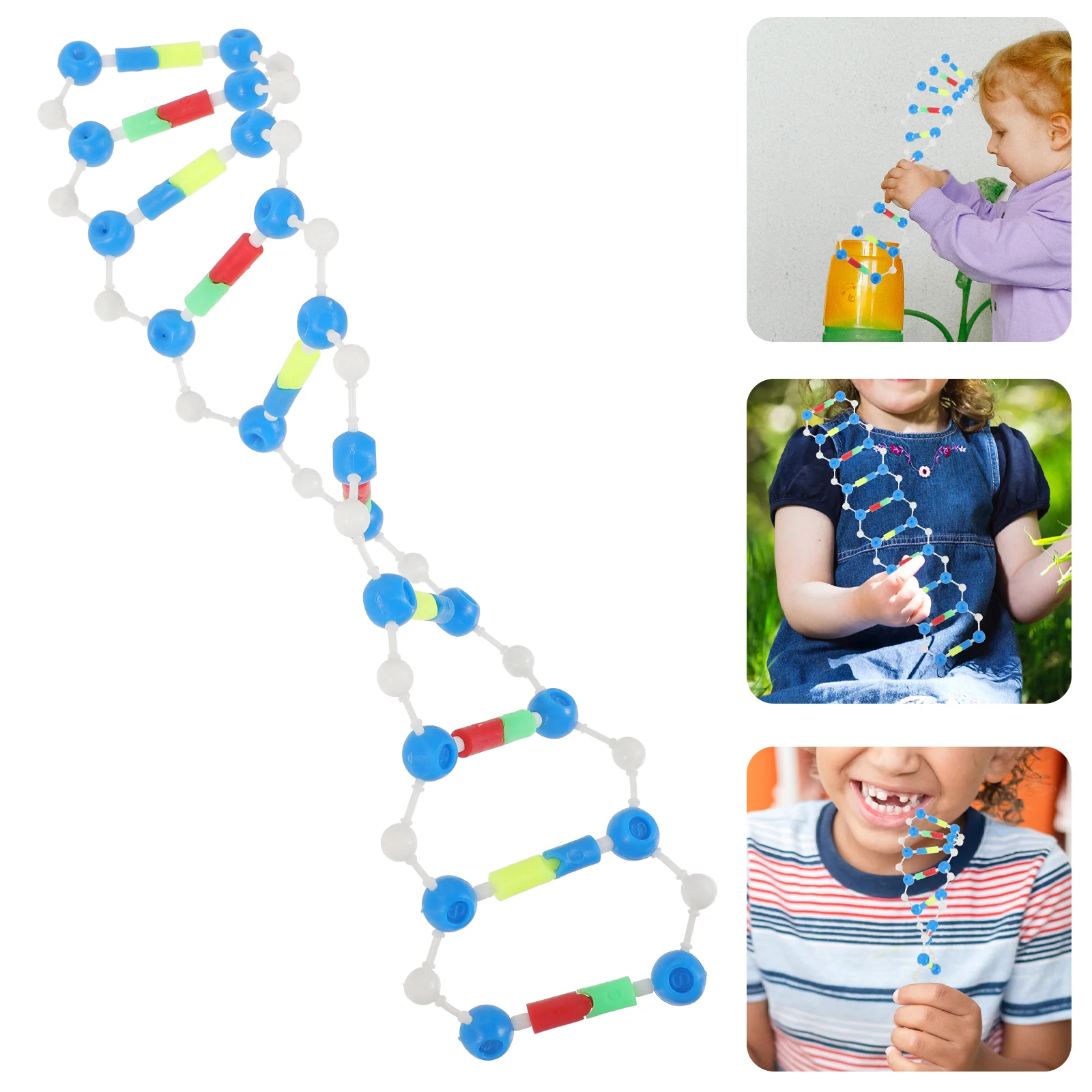 Biology Dna Model Double Helix Components Educaional Learning Models Experiment Equipment for Teaching Molecular Kit