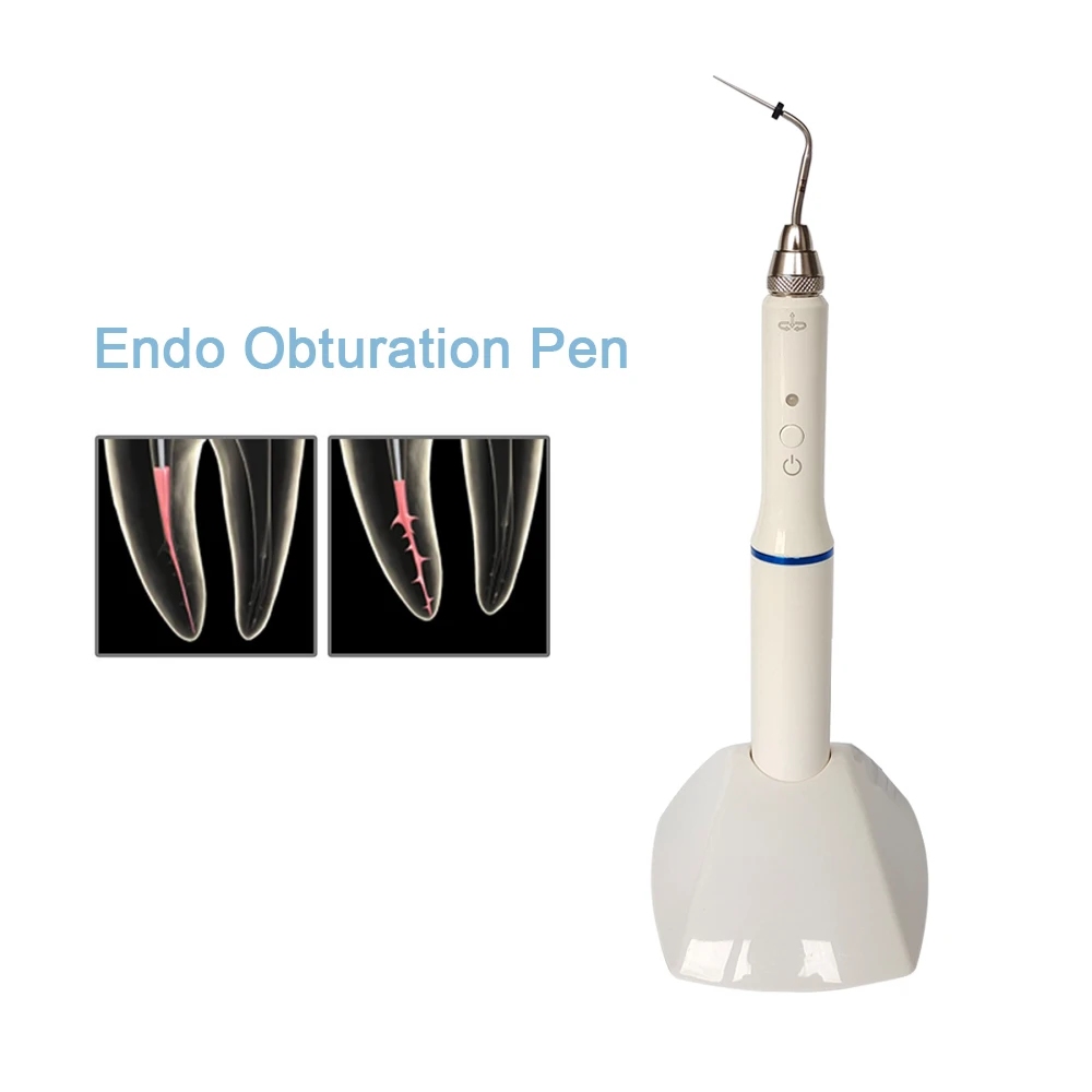 Dental Cordless Gutta Percha Obturation Pen Endo Heated Pen With 2 Tips Hot Melt Filling Dentistry Tools