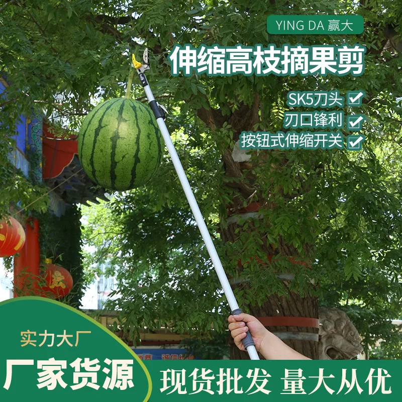 

Большой выдвижной сборщик фруктов Win с высокой веткой, расширенный высотный сборщик фруктов, сборщик фруктов, выдвижной высокий